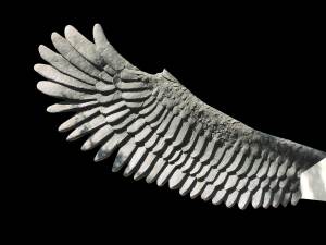 Y vamos por ahí rompiendo paradigmas dando aleteos con las alas del corazón...